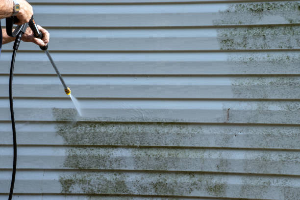 Same-Day Junk Removal Services in Collegeville, PA